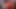 JayneG.  Dildo in Red