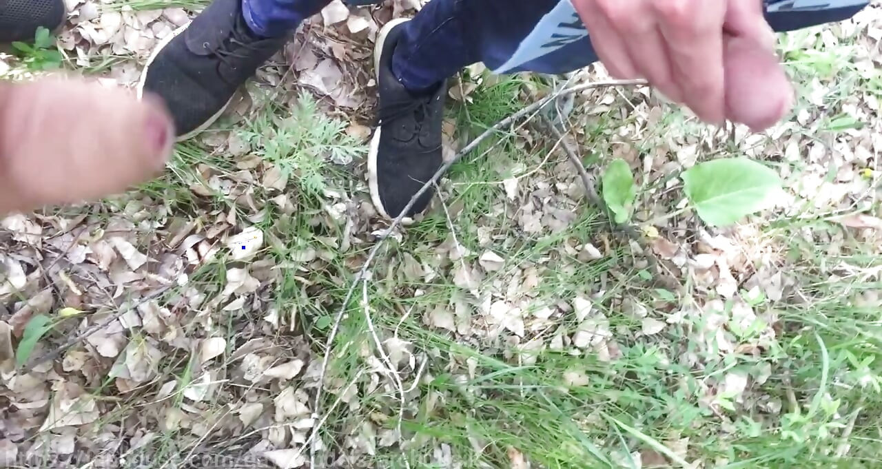 Members in Fight with Powerful Cocks From Their Pants!