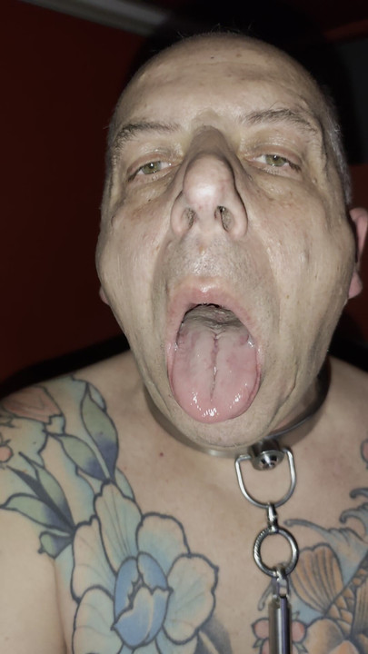 Nakon zabave u gloryholeu gutanje
SLS-Frank