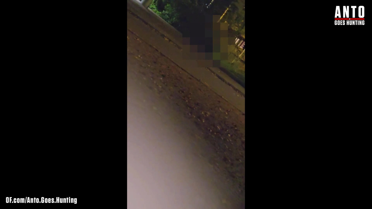 另一个保安走近并说服