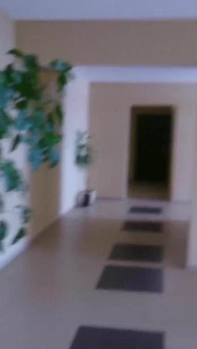 123