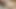 Explore the Hairy Pussy of an Amazing Japanese Woman - JAV, Overflowing with Sensual Pleasures.