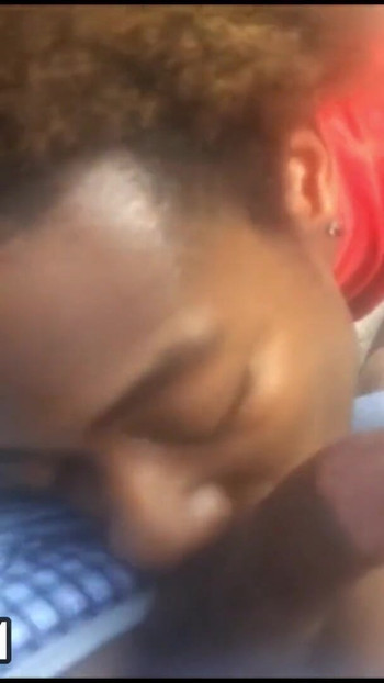 VODITELJ PARKA | Isječak 1