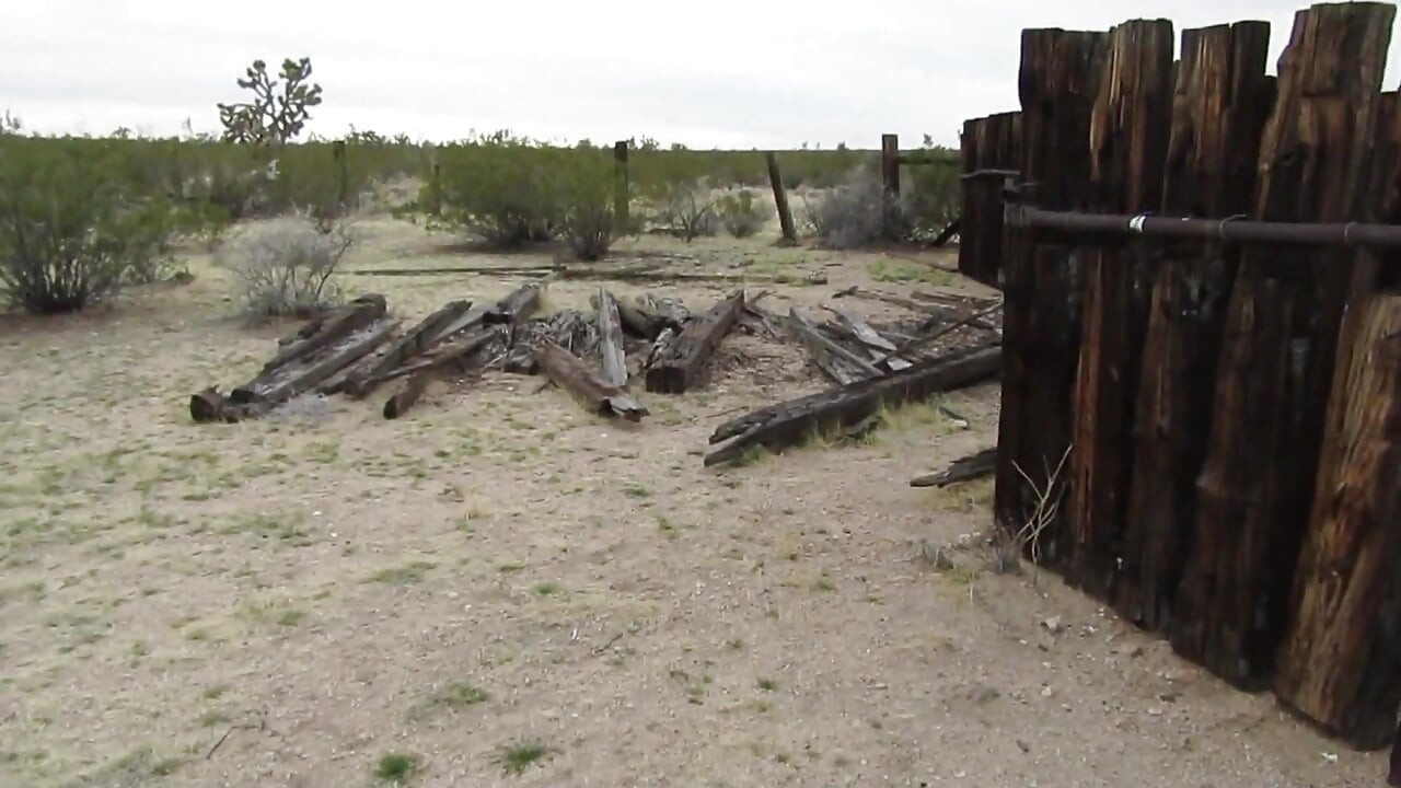 Desert Cow Pen Cum 3