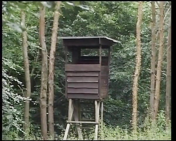 Chubby German MILF Rides Cock and Makes It Cum All Over in Woods