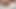 Big Toy Reveal: Rabbit Ride With Ass Destruction - full vid in my stores!