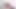アレックス・コール インタビュー