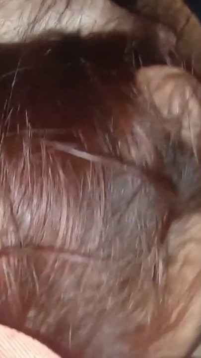 Step Dad Holds Me Only In Your Dick And Lets You Go | Clip 1