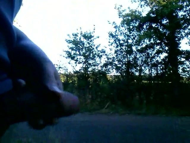 Dick Flash two young blonde in cars & cum