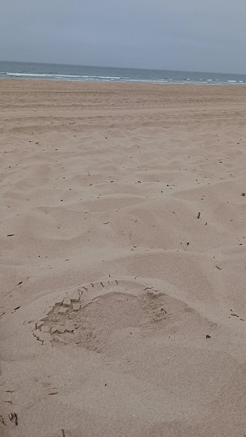 Nudist beach