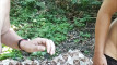 Pratinjau video