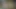 Amateur Amateur reife Ehefrau lutscht Schwanz bis zu den Eiern