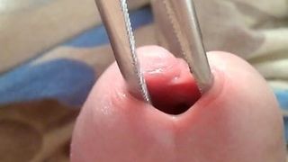 Insertion urethra open1 no snapcat