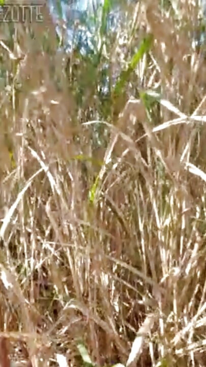 여기 당신은 당신의 섹스 드라이브를 유지하는 방법을 찾을 수 있습니다