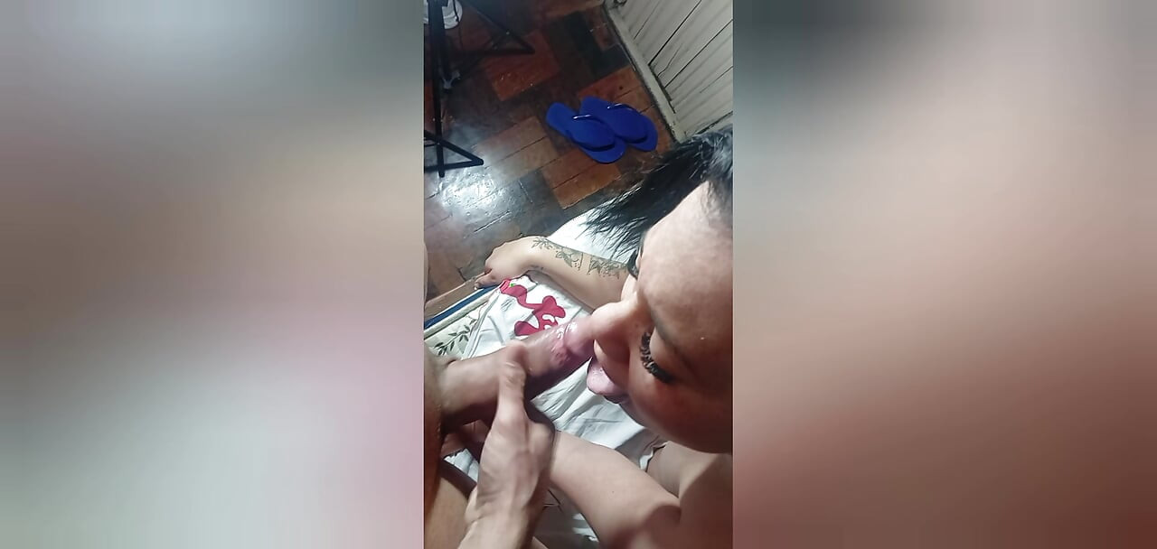 펠라 모음집
