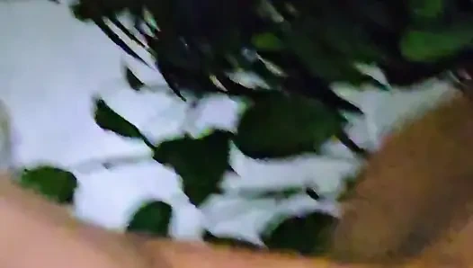 Вау Reniis So чертовски прекрасно курит немного Crystal с Bigdbg Ж / Sexii Силуэт игра горячая