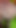 "Eğitmen üvey kız kardeşimi ve beni rutinin sonunda sert sikiyor(porn hd) - katejenn, yesenia"