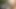 bebeğim seviyor için emmek üzerinde bir büyük siyah dick açık havada