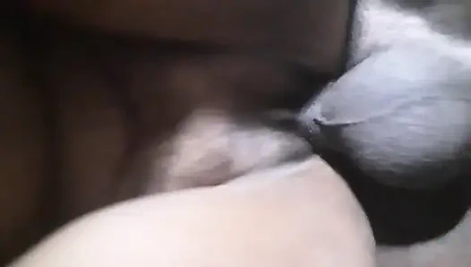 Big dick doggy style