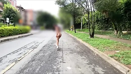 Ketelanjangan rol di jalan