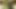 Female masturbation home made