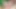 Kimin döl aldığına karar verilemiyor - iki seksi hentai kızla ateşli üçlü seks - sub