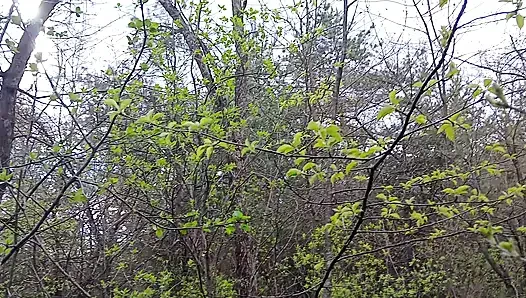 Ich pinke und ficke meinen liebhaber in den mund im wald, damit meine frau uns nicht erwischt