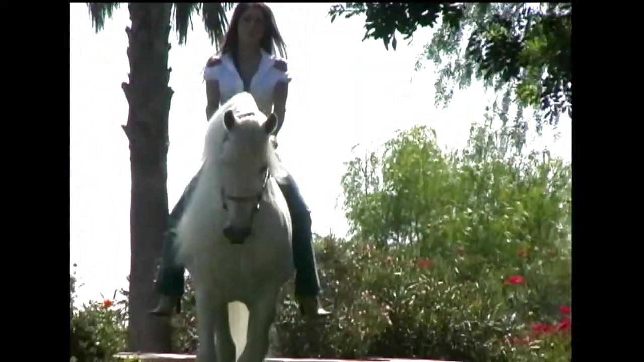 Lesbian hot rambut cokelat dientot habis-habisan pakai strap-on