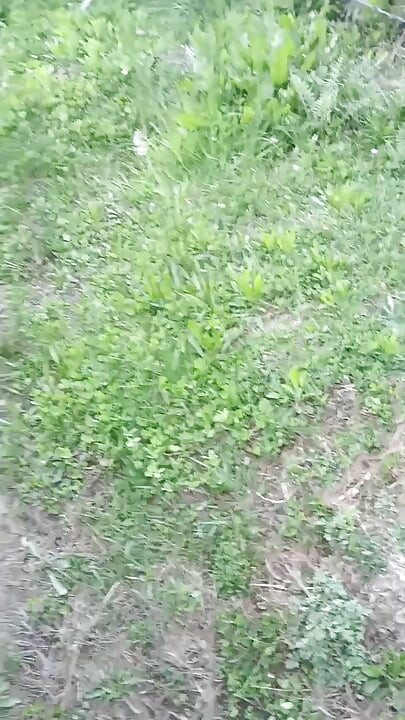 Seks na świeżym powietrzu z panną Mahi
