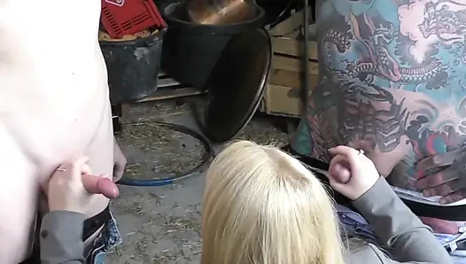 Женихи