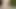 Walking nude in the woods getting hard and cum