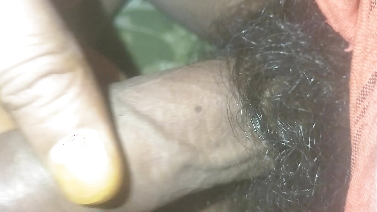 Polla divertida 1