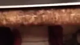 Sadece hoş bir sabah.