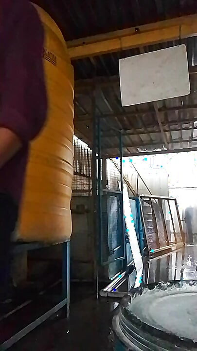Plant Outdoor side  masturbation