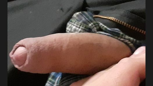 Pregled videozapisa