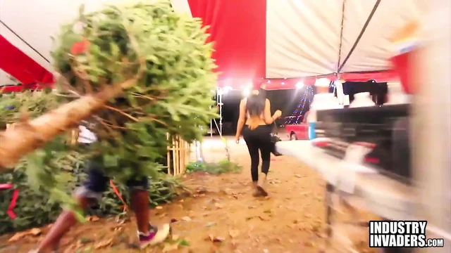 Oh Christmas Tree