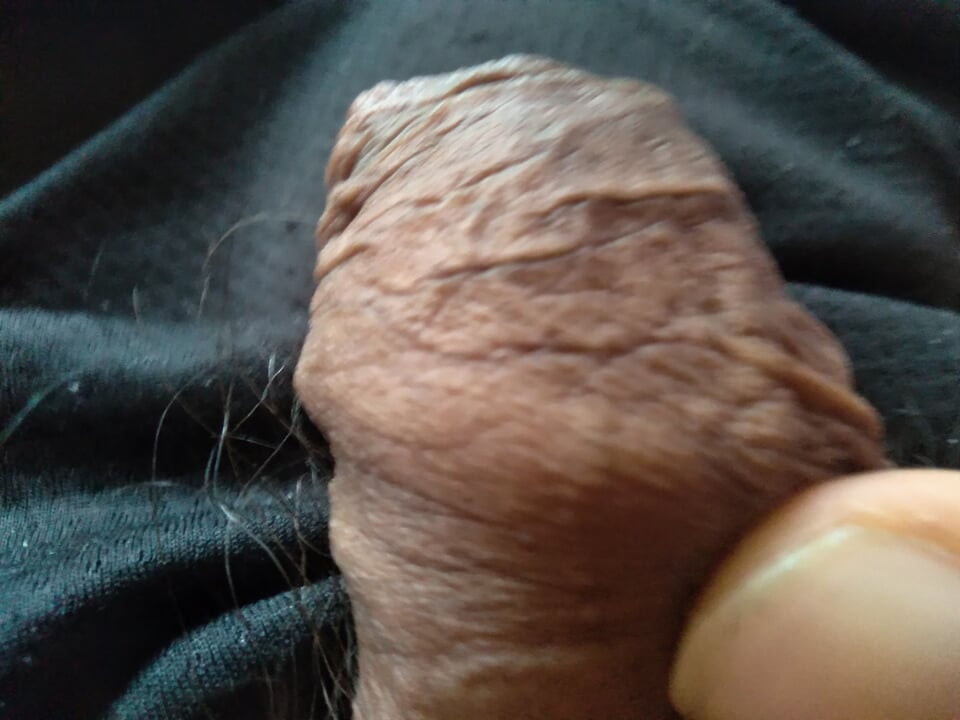 ควยใหญ่ตื่นเต้นอย่างมีความสุข