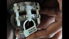 Indischer Cuckold bestraft, weil er aus Keuschheitskäfig entkommen ist