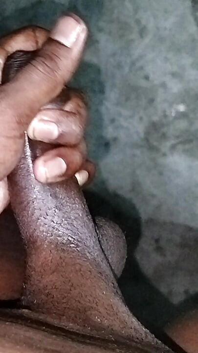 Legnagyobb indiai kakasok