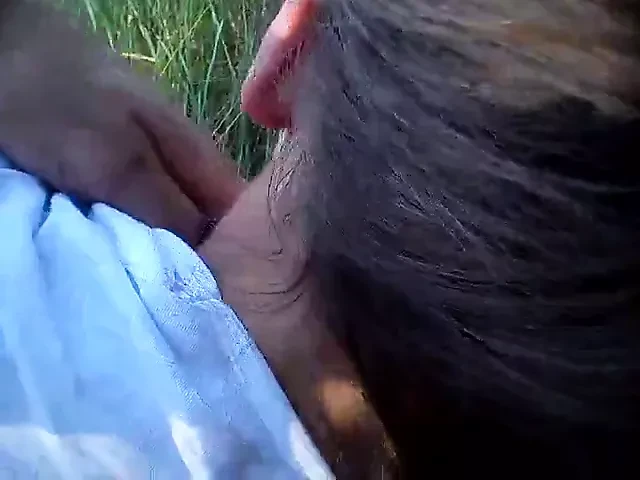 przygoda w lesie