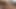 Masturbation time for sensual tranny in exotic lingerie