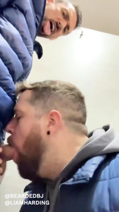 hot daddy with big cock gets sucked in public bathroom by sexy bear | Clip 1