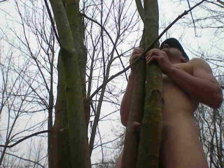 petit plaisir dans les bois