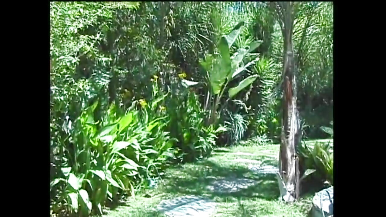 Kejutan yang menyenangkan