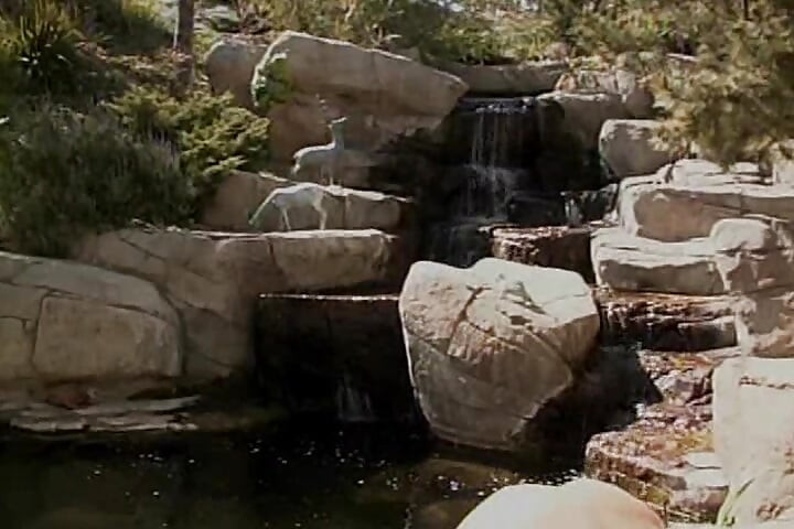 Platinblonde bimbos haben spaß mit strapon am pool