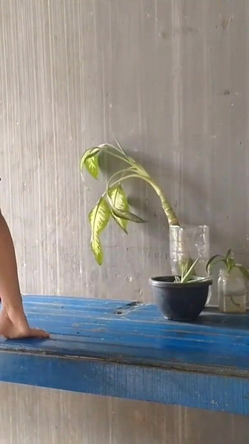 ช่วงเวลาที่น่าจดจําจาก "ฉันจ้างแม่บ้านทําความสะอาดบ้านและเย็ดเธอ"