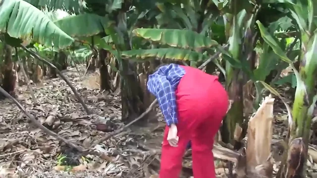 Fantastic babe is bouncing on dude's big and hard dong