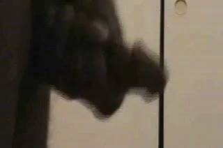Oholený nadržený penis
