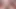 cock edging, precumming and hot cumshot