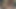 gilf